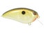 Copper Shad