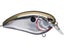 Chrome Olive