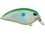 Citrus Shad