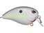 Nasty Shad