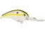 Olive Shad
