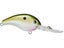 Tennessee Shad