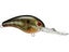 Natural Bream