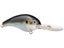 Natural Shad