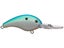 Citrus Shad