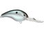 Green Gizzard Shad