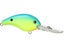 Powder Blue Back Char