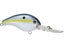 Sexy Shad