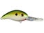 Tennessee Shad