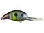 Neon Bluegill