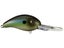 Summer Sexy Shad