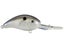 Blue Gizzard Shad