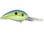 Chartreuse Sexy Shad