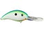 Citrus Shad
