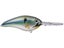 Reel Shad