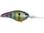 Neon Bluegill