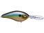 Summer Sexy Shad