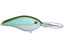 Sexy Green Shad