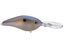 Blue Gizzard Shad