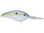 Sexy Shad