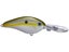 Olive Shad