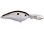 Gizzard Shad