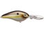 Summer Sexy Shad