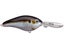 Natural Shad