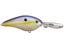 Chartreuse Shad