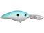 Citrus Shad
