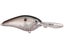Green Gizzard Shad