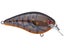 Brown Craw