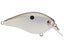 Gizzard Shad