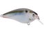 Natural Shad