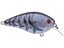 Blue Craw