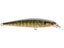 Natural Bream