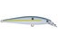 Sexy Shad