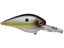 Summer Sexy Shad