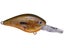 Orange Bream