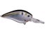 Natural Shad