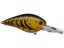 Green Pump Craw