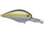 Sexy Blue Back Herring