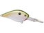 Tennessee Shad