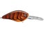 Brown Gourd
