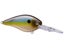 Summer Sexy Shad