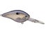 Blue Gizzard Shad