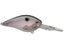 Green Gizzard Shad