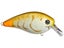 Bone Craw