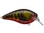 Phantom Watermelon Red Craw