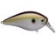TN Shad 2.0